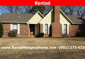 3878 Sabal Hill Dr, Bartlett, TN