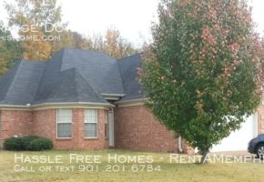 1312 Lagrange Downs Rd, Cordova, TN
